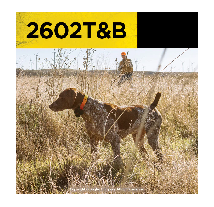 Dogtra 2602 T&B