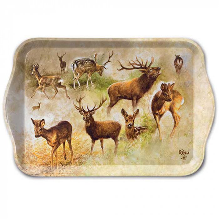 Plateau portraits de grands gibiers PM