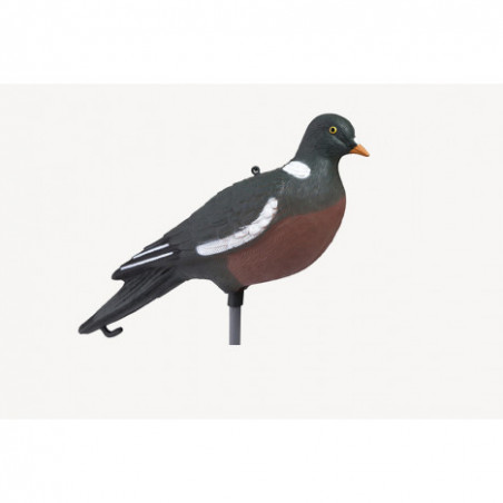 [4026921] Stepland Pigeon ramier HD