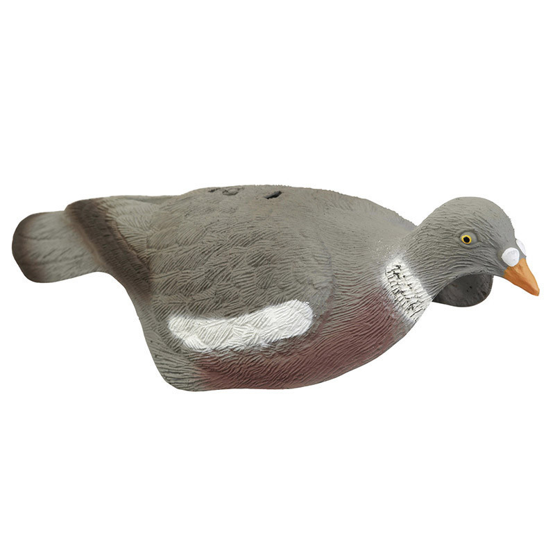 [7856923] Pigeon ramier demi coque