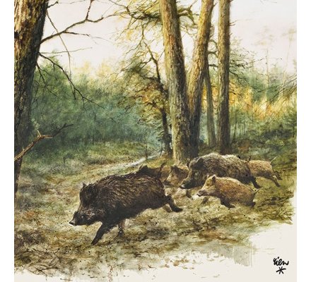 [2277755/SA] Serviette Papier x20 (Sanglier)