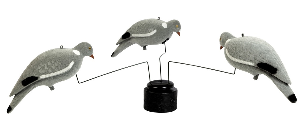 [4026901] Manege a pigeon